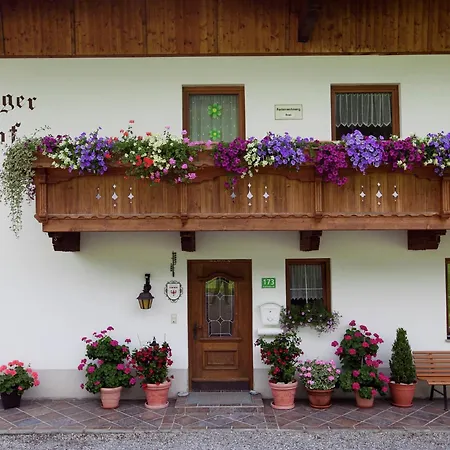 Modern In F Genberg With Garden
