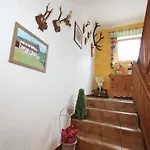In Near Slopes